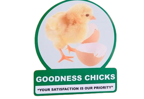 Goodness Chicks & Agrovet Logo